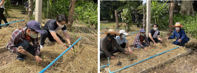 Number of sustainablity community services project organised