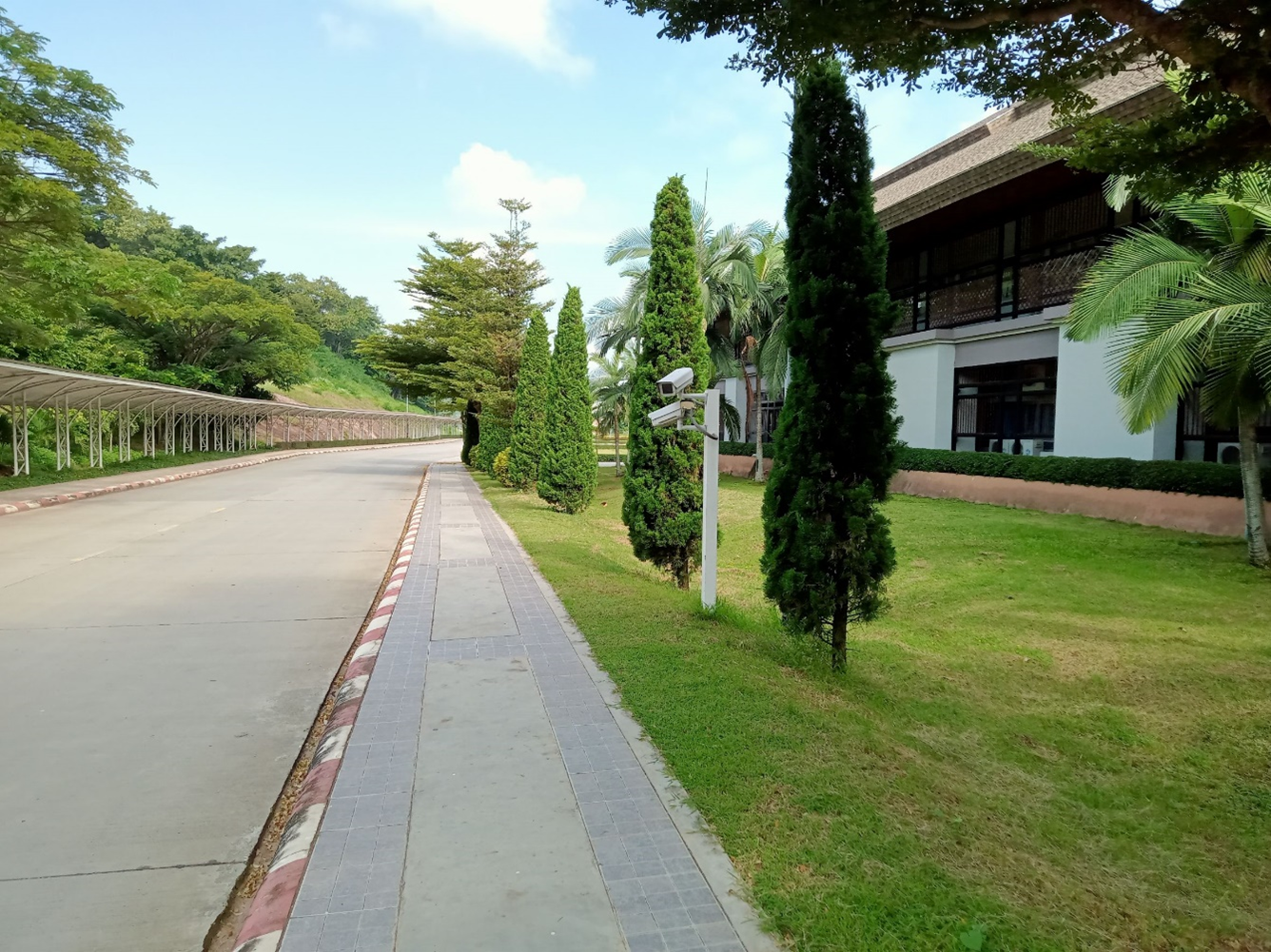 Policy to support the walk (University of Phayao, Thailand)