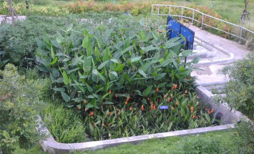 wastewater treatment system