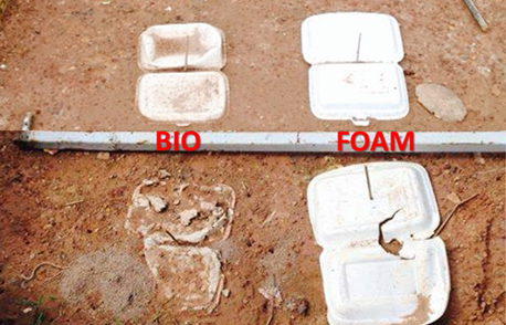 Fig.7   Study on degradation between biodegradable boxes and Styrofoam boxes.