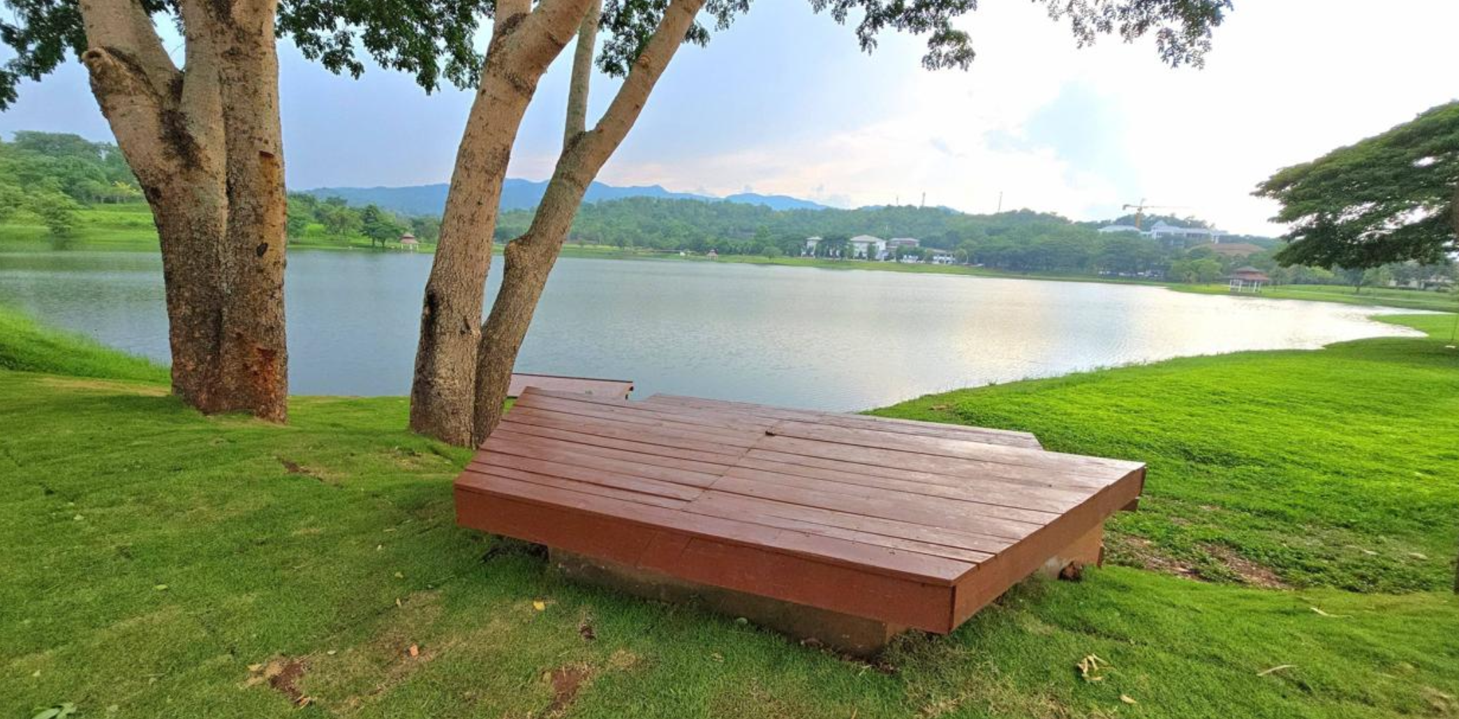 Shared learning space with benches under large trees