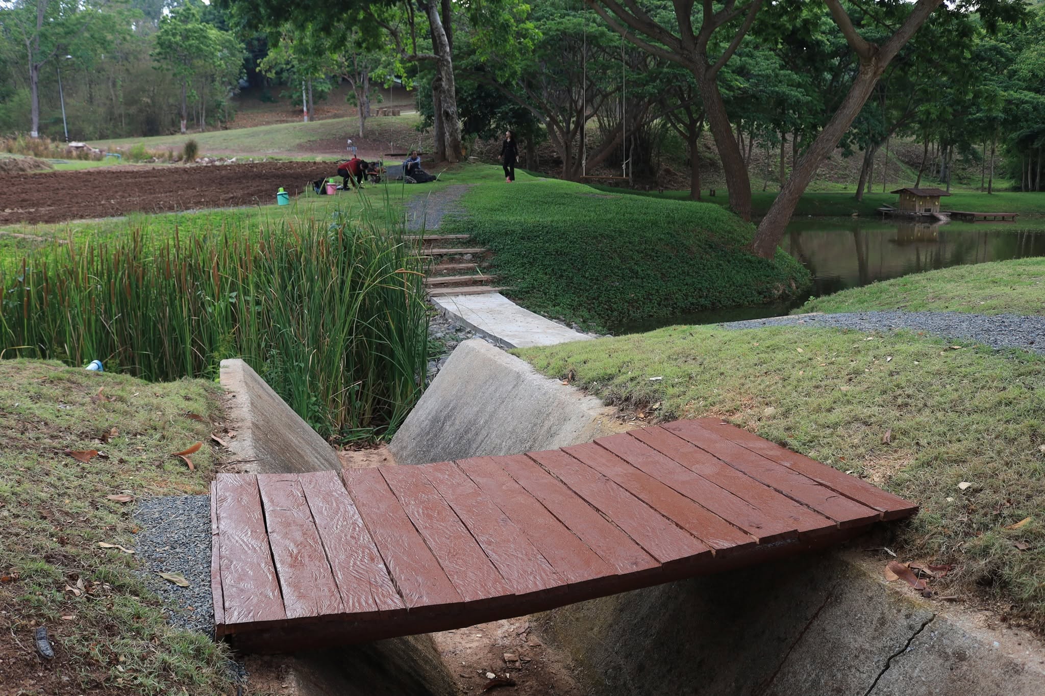 Nature trails