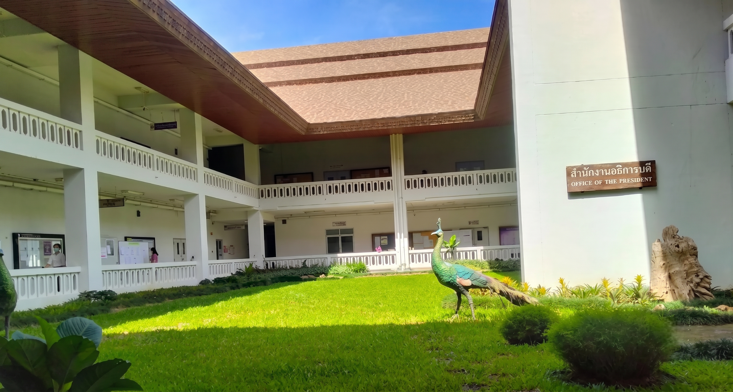 Courtyard building with peacock