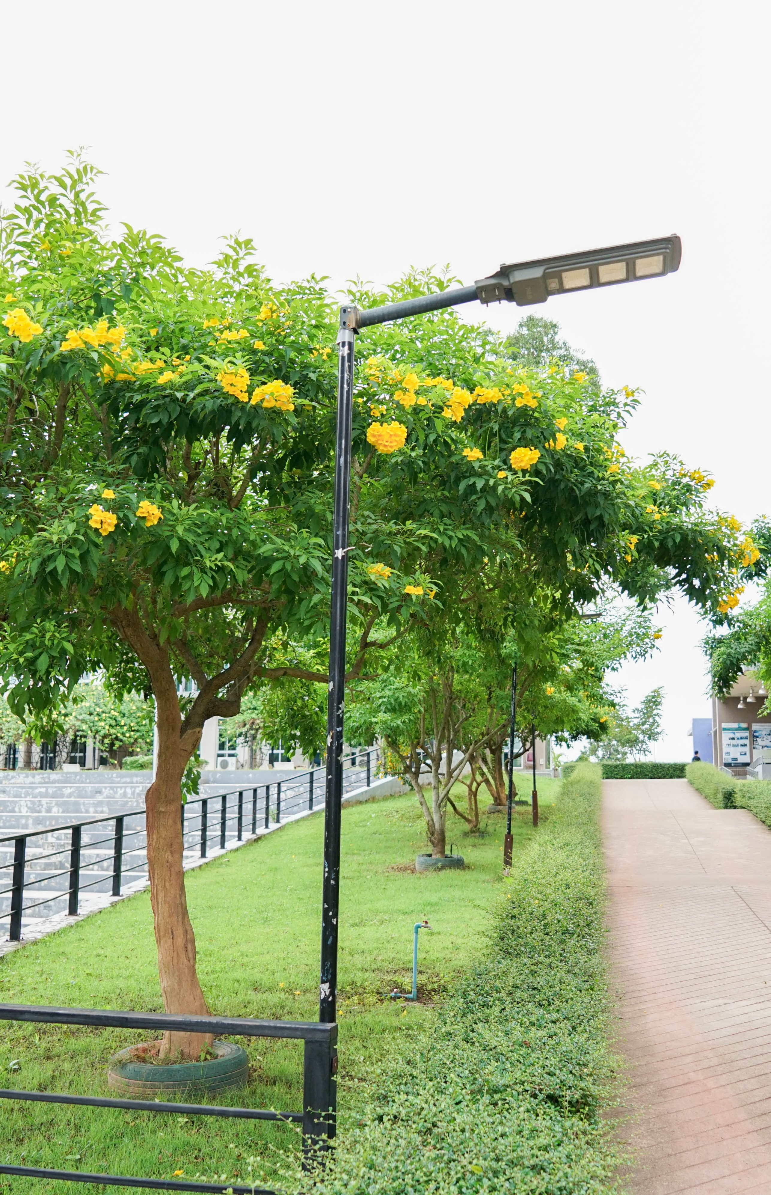LED Solar Streetlights