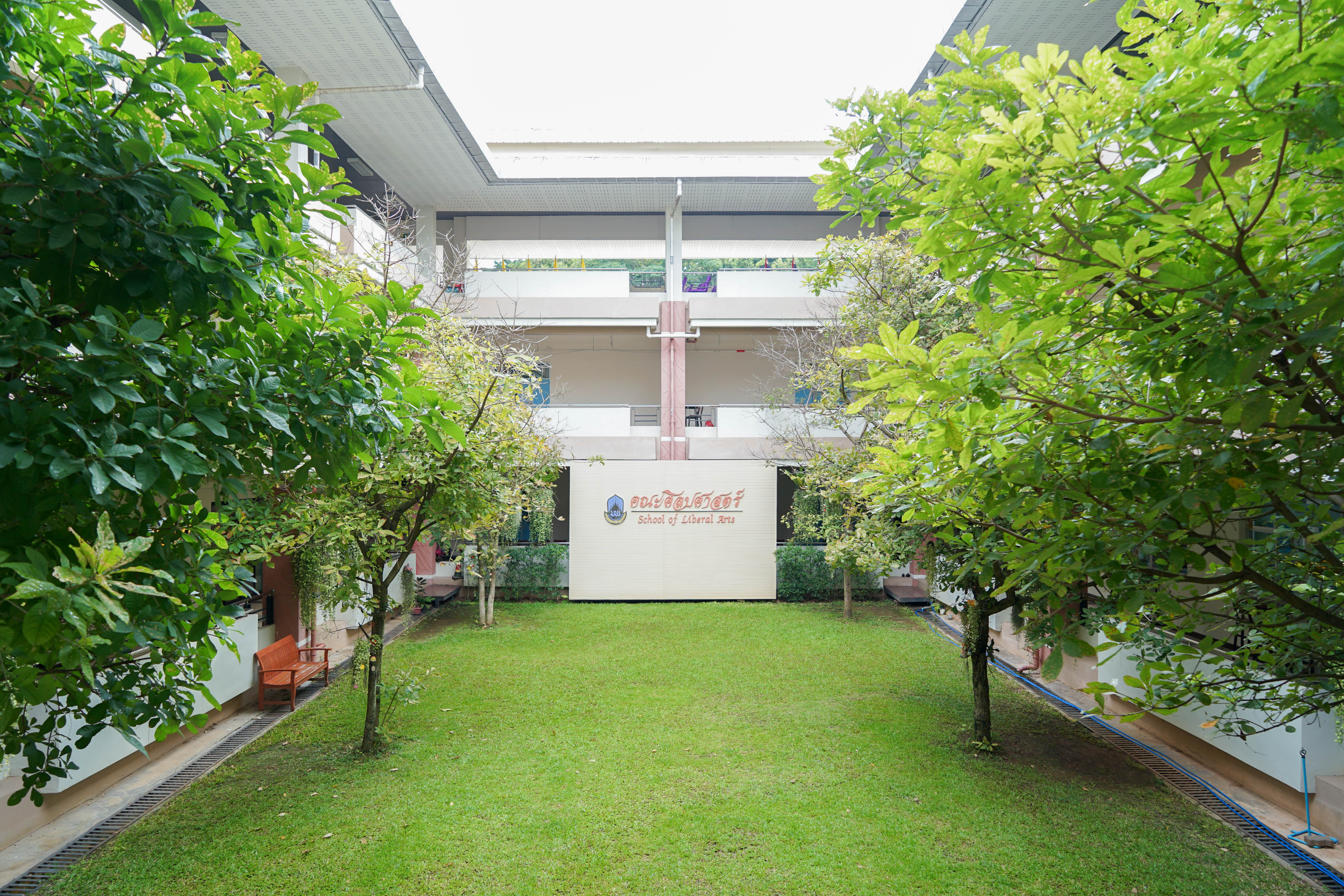 Courtyard garden with trees
