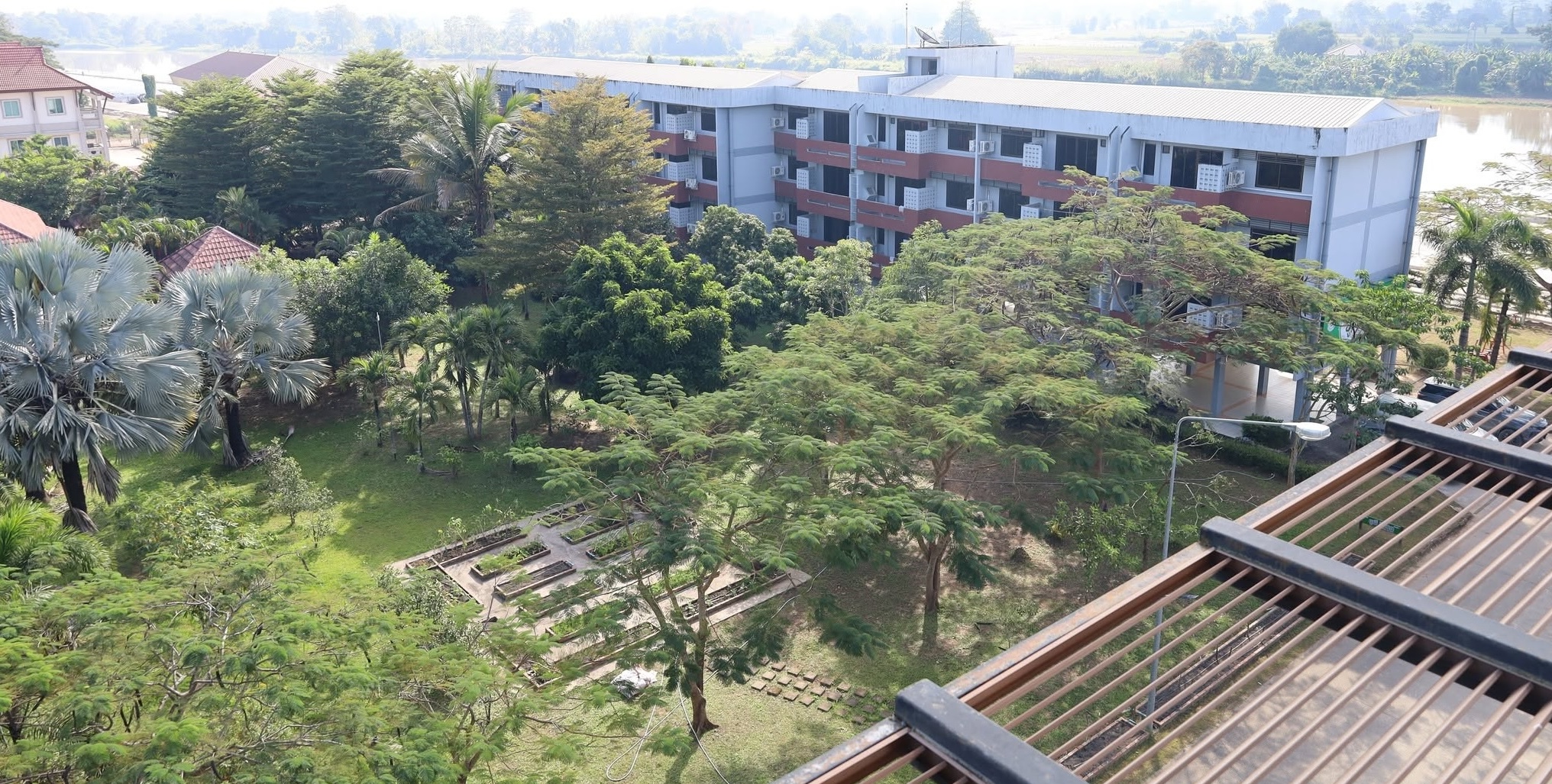 Open space area, Chiang Rai campus