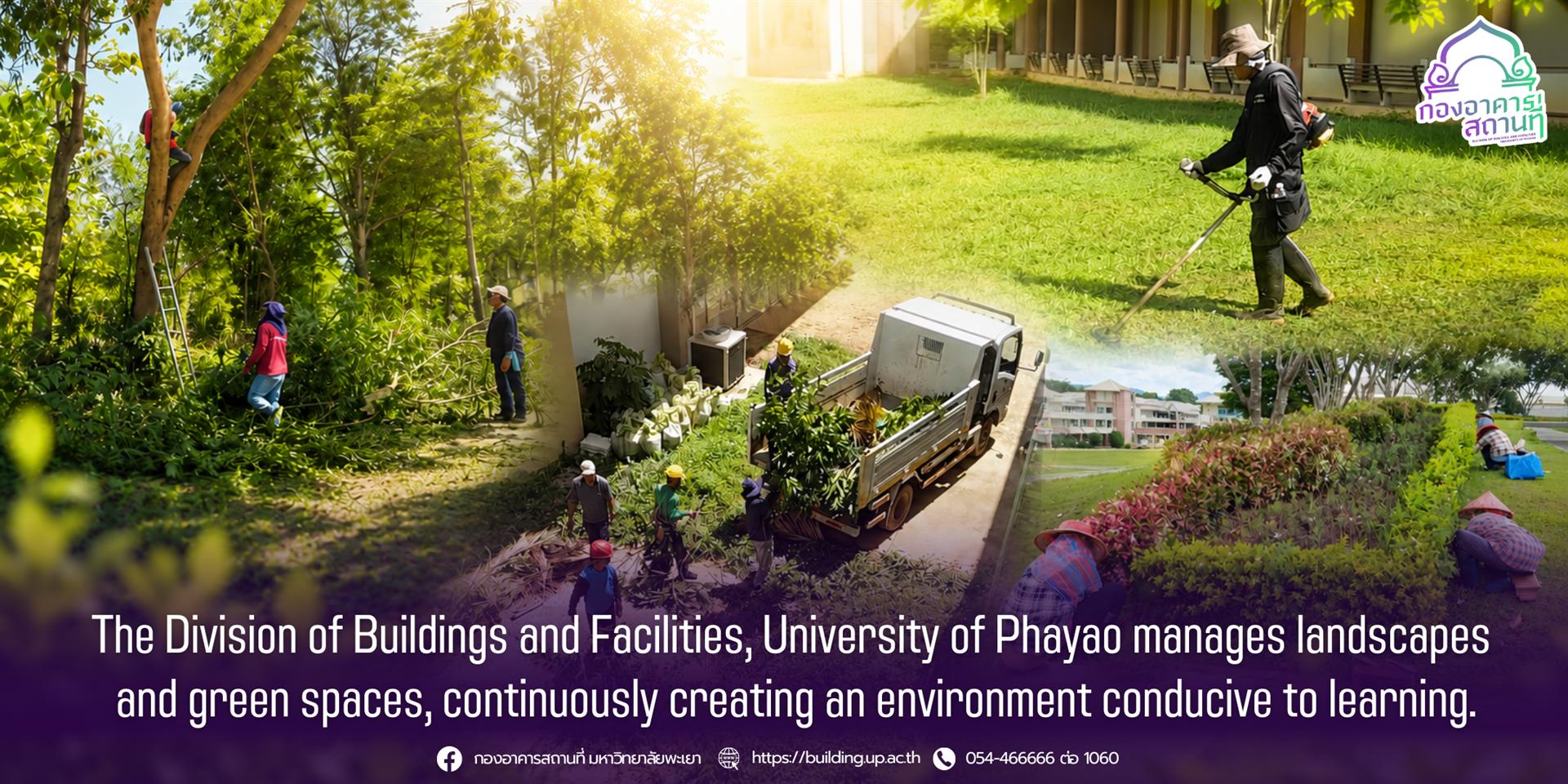 Division of Buildings and Facilities staff conducting landscape maintenance and tree trimming on campus