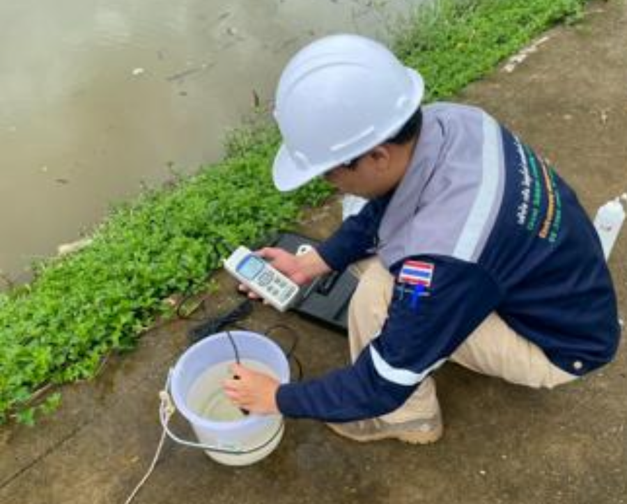 Wastewater treatment by artificial swamp wastewater treatment system