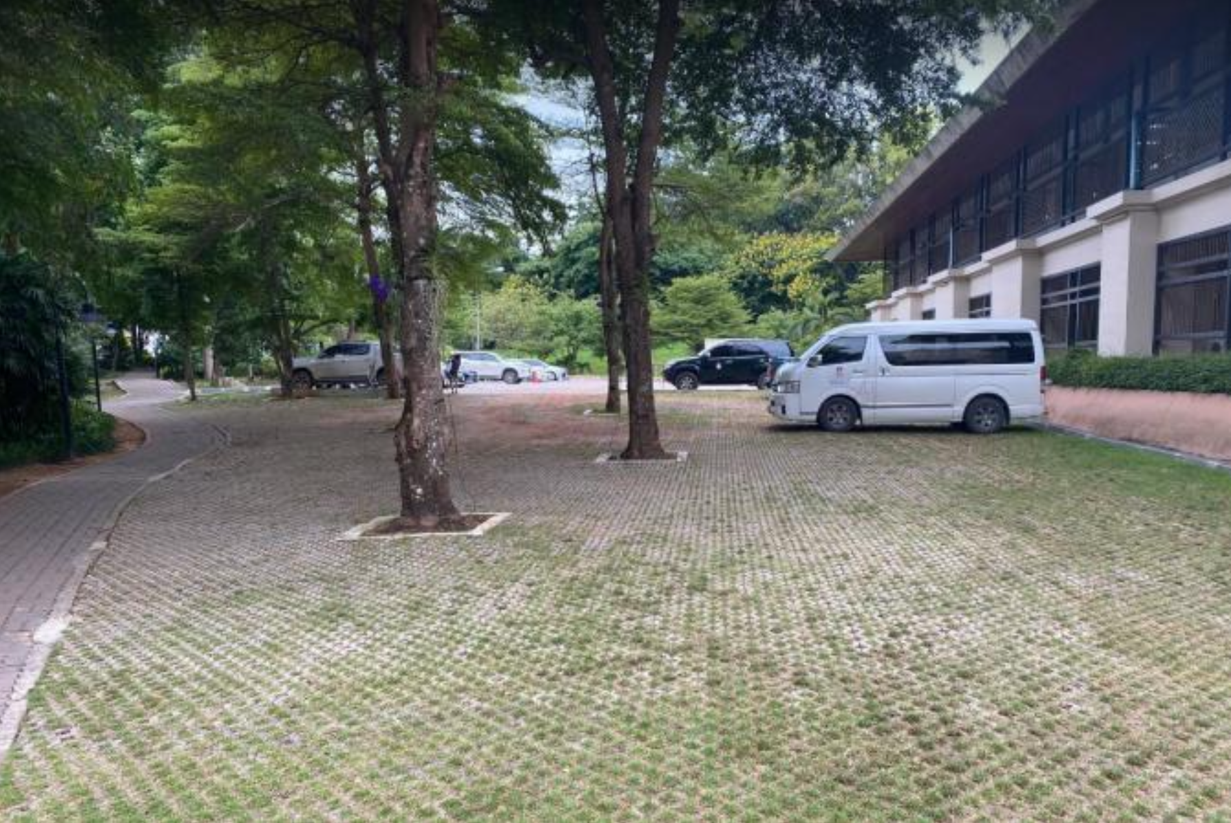 Permeable pavement area for water absorption at University of Phayao