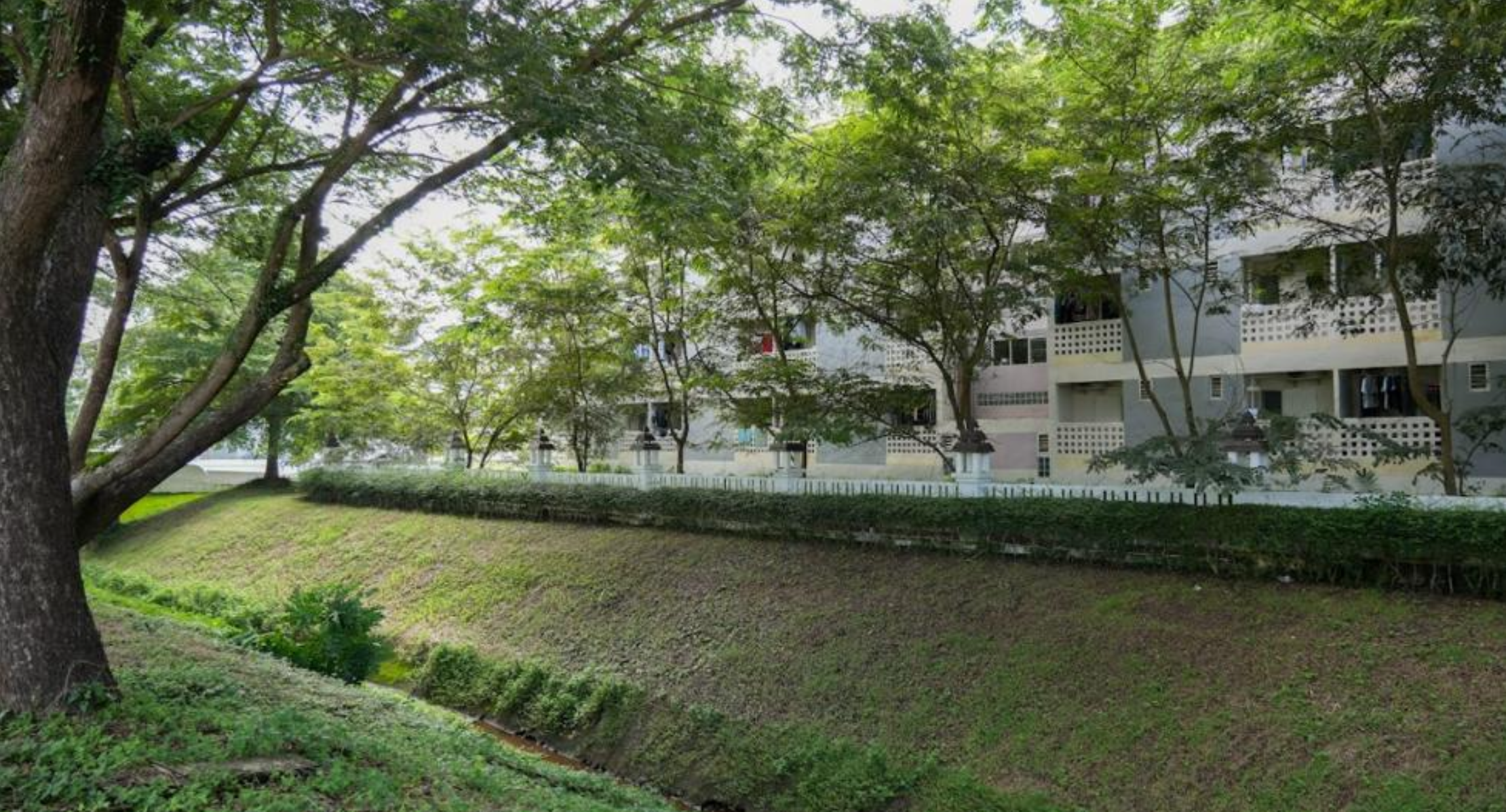 Open space area, Phayao campus