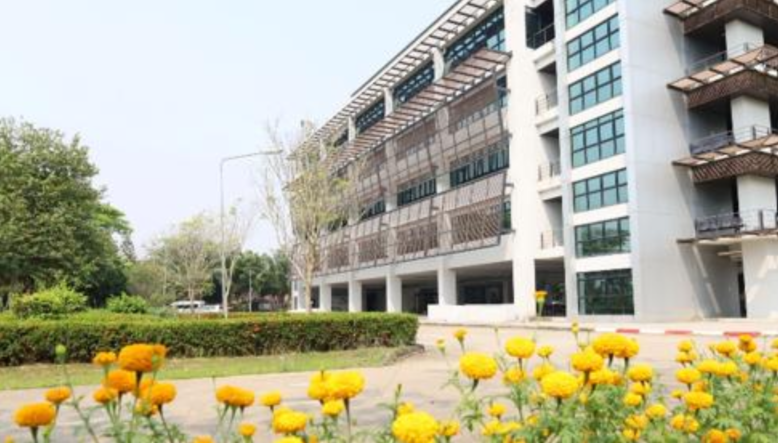 Meetings trainings seminars Building, Chiang Rai Campus