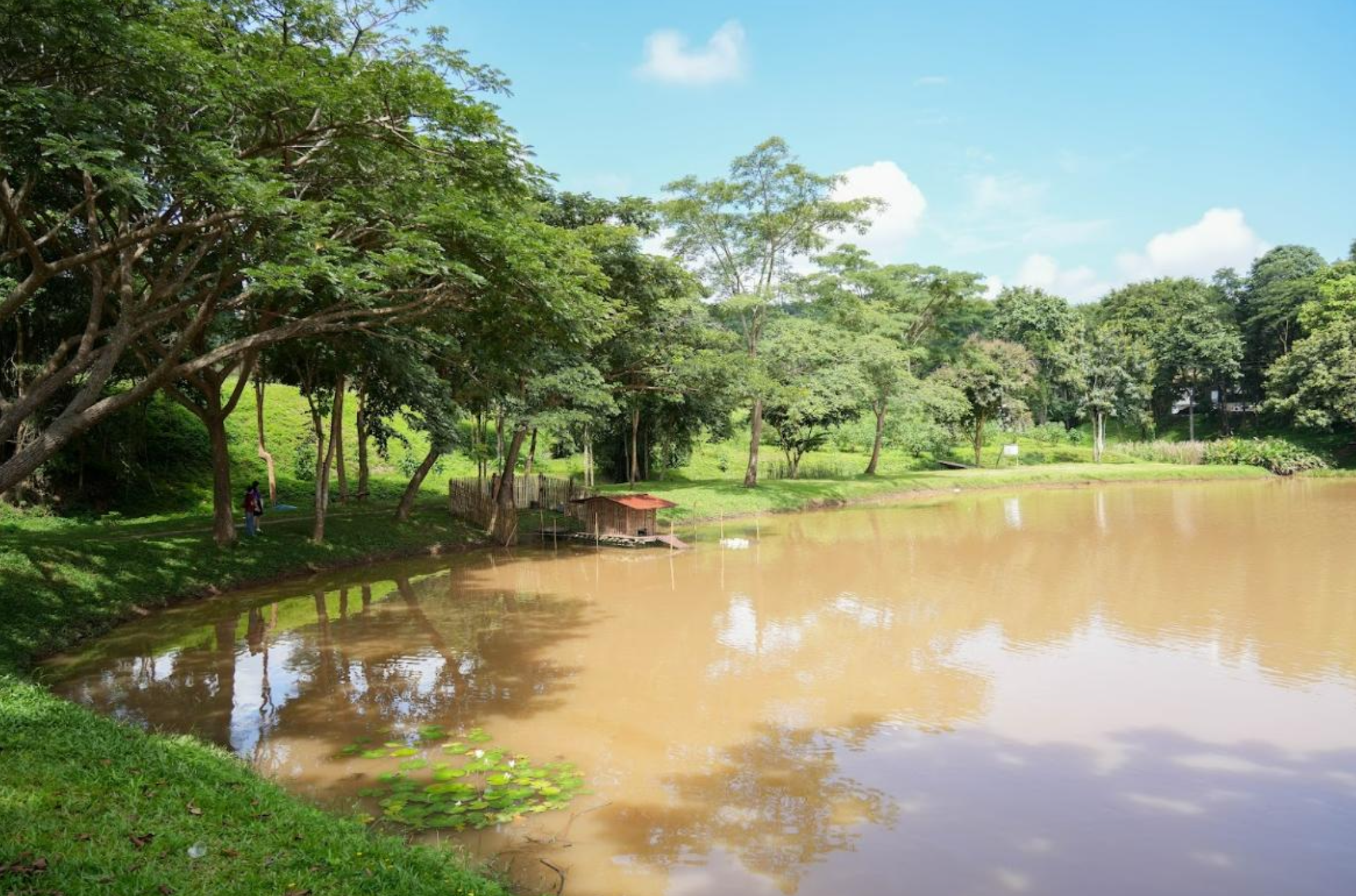 University water source area at University of Phayao