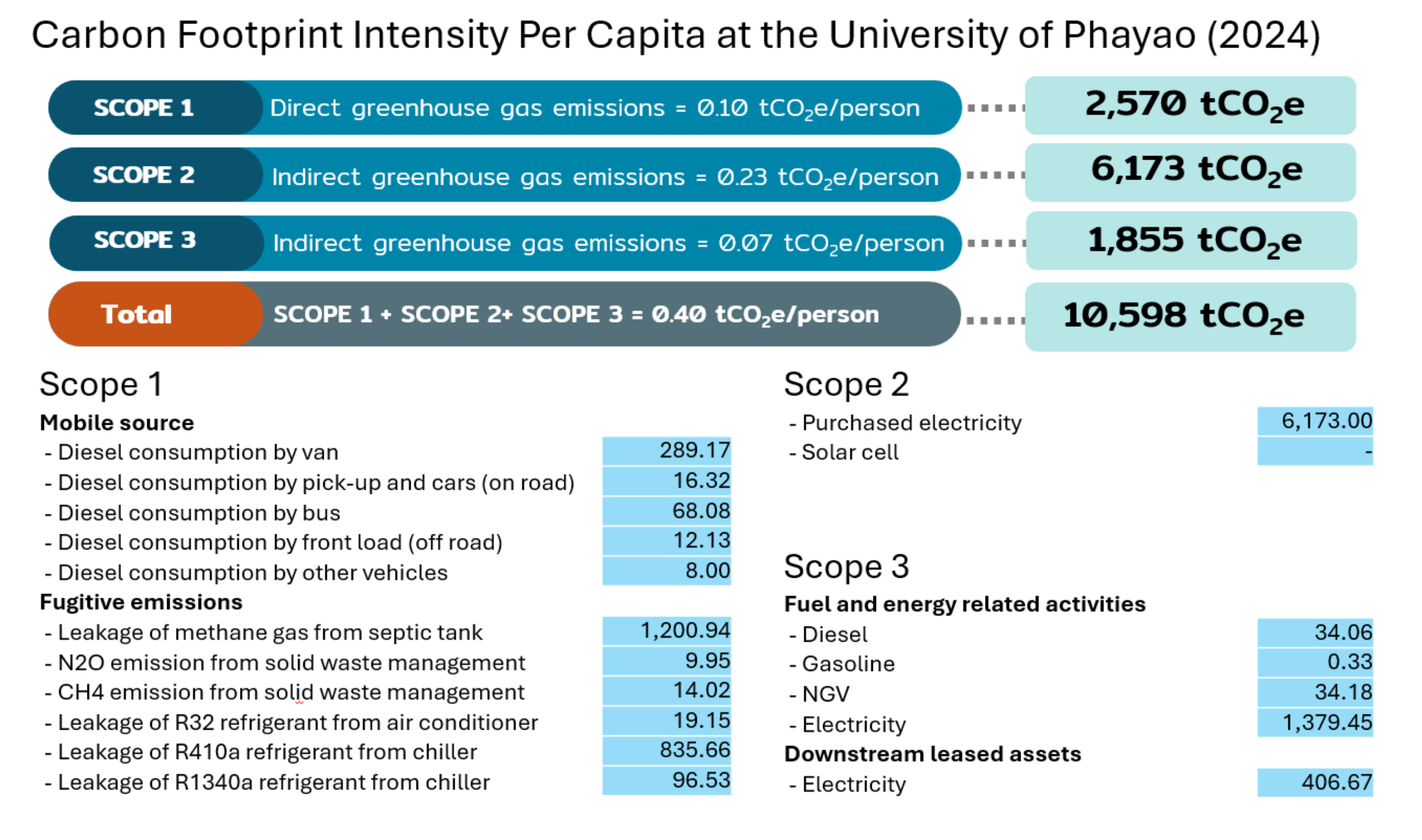 Carbon Footprint Intensity Per Capita infographic showing Scope 1, 2, 3 breakdown and detailed emission sources table