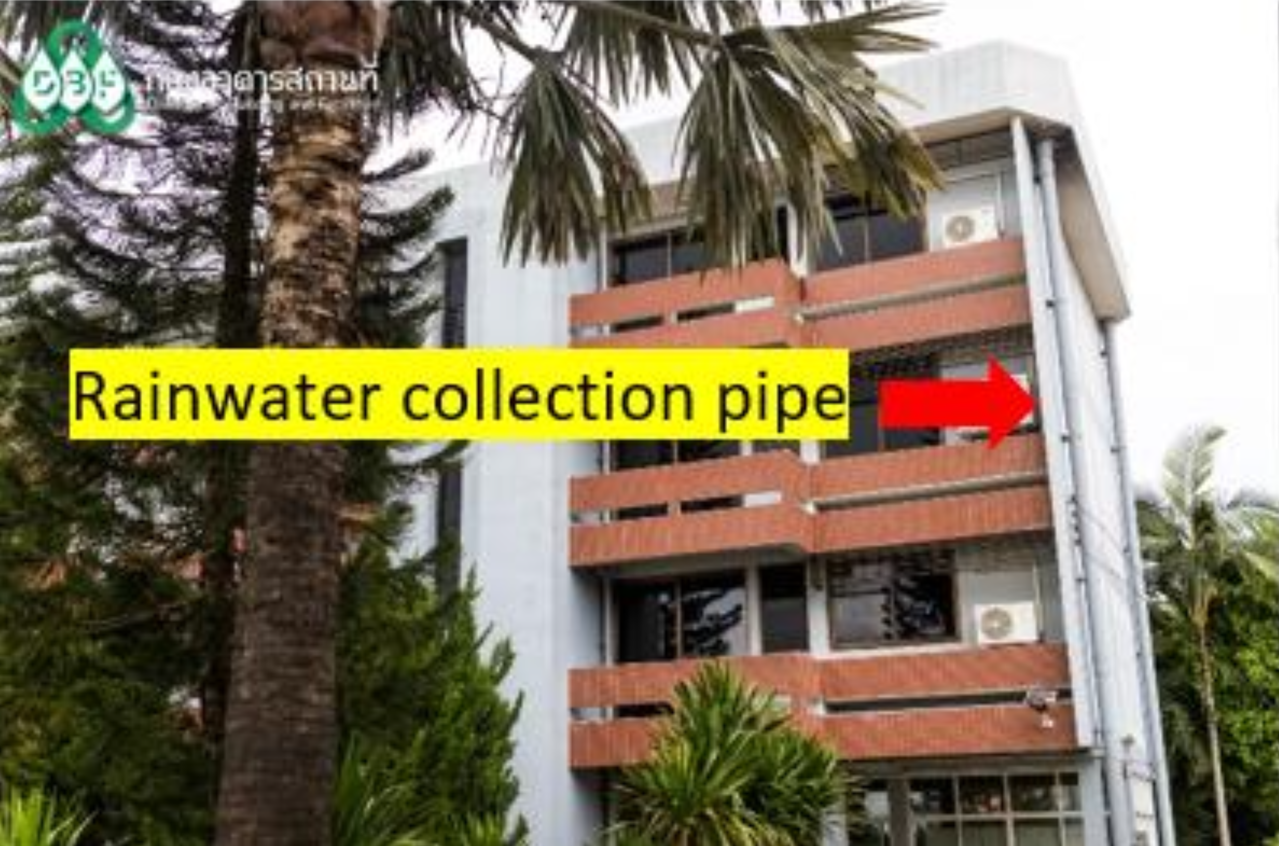 Rainwater collection pipe on a building, University of Phayao