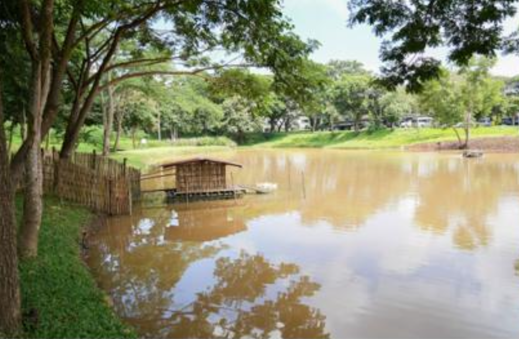 University water source area at University of Phayao
